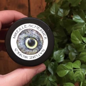 Nature Works Castricum | Producten | Belevingsdagen | Bosbaden | Wildplukken