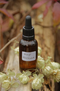 Hop tinctuur