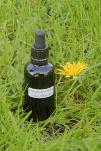 Paardenbloem tinctuur