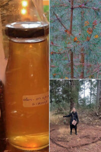 Den-en Sparren siroop 150 ml