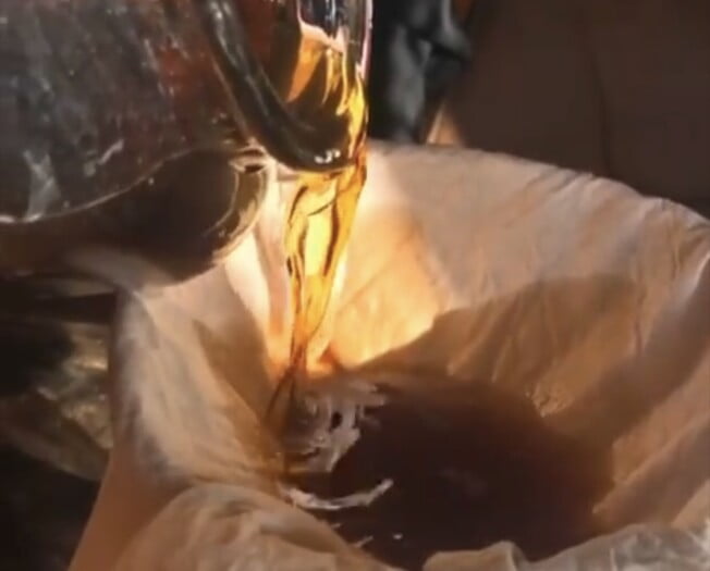 Japanse duizendknoop