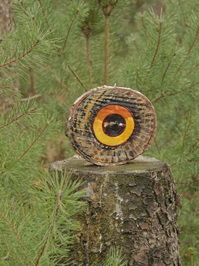 kunstwerk Uilenoog