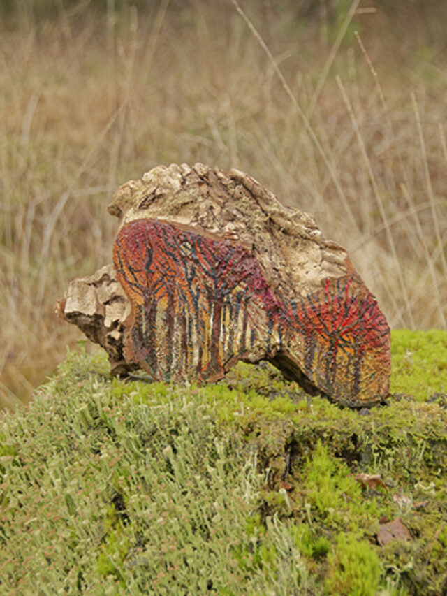 Ochtendlicht en avondrood