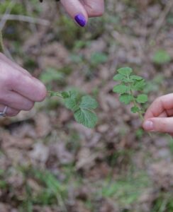 De lente laat zich al wat meer zien