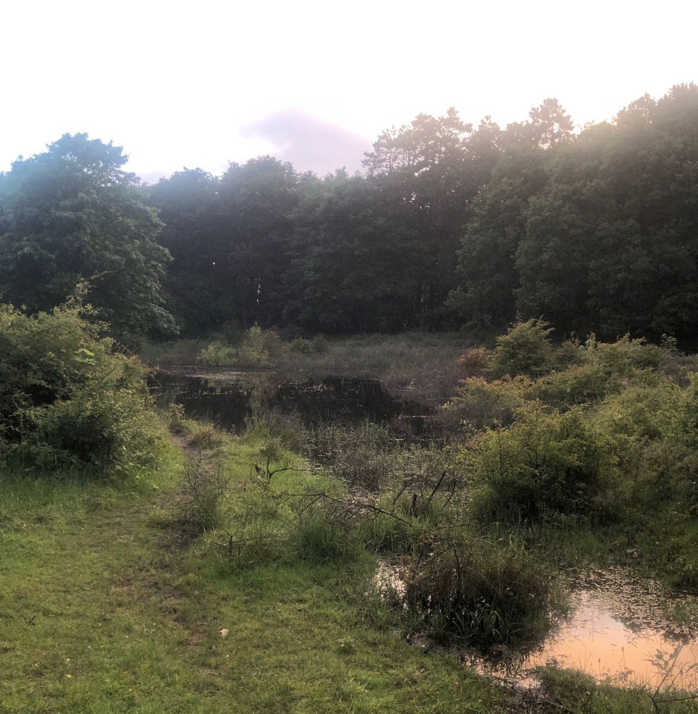 Dit jaar sta ik intens stil