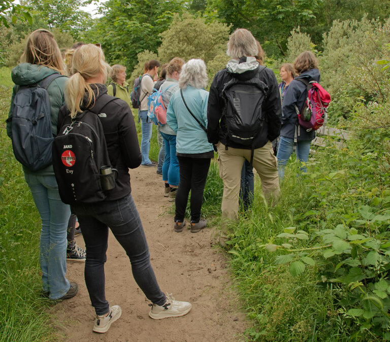Wildplukken met Mireille