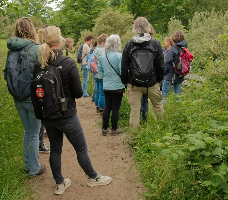 Wildplukken met Mireille