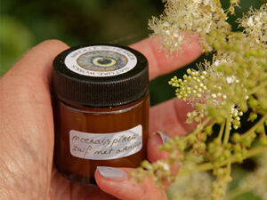Moerasspirea zalf met arnica 30 ml