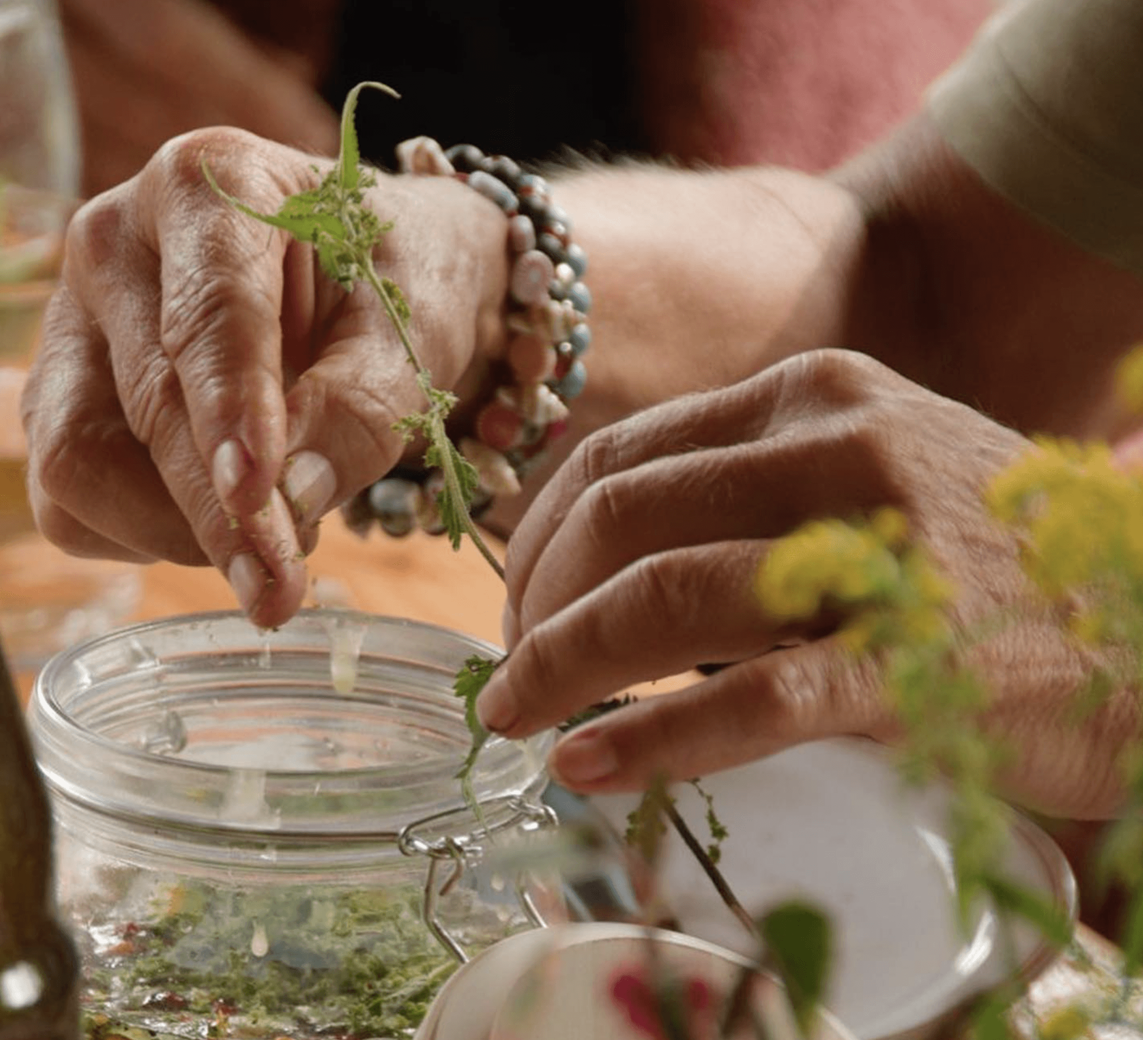 September is oogstmaand