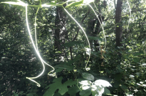 Ben je ook zo vroeg wakker