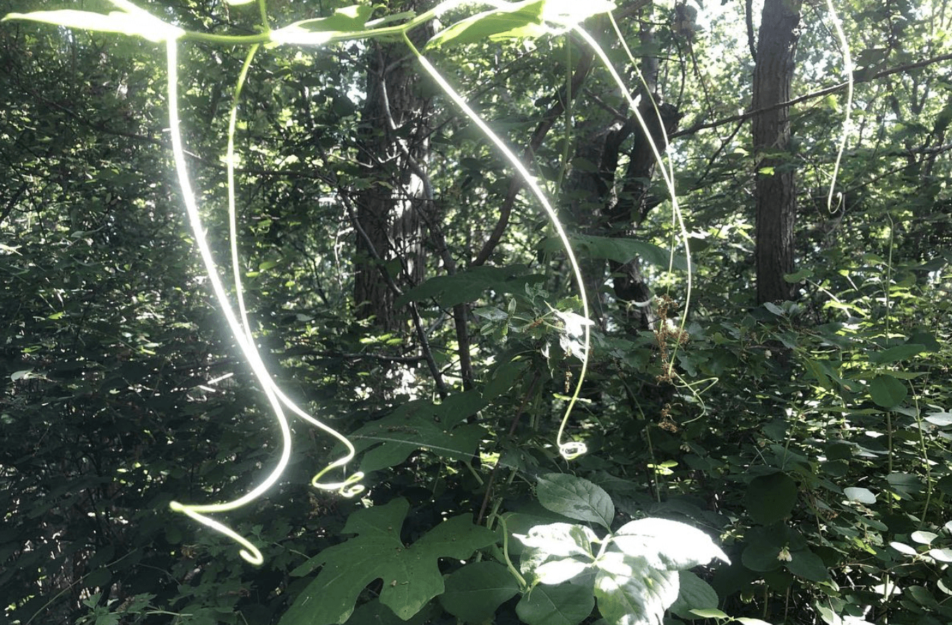 Ben je ook zo vroeg wakker