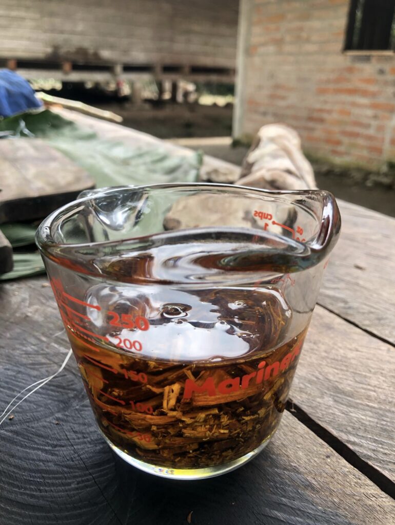 Amazonezalfjes maken met David Antunish Moya 1