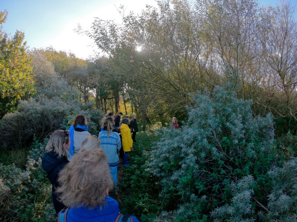 Buiten3