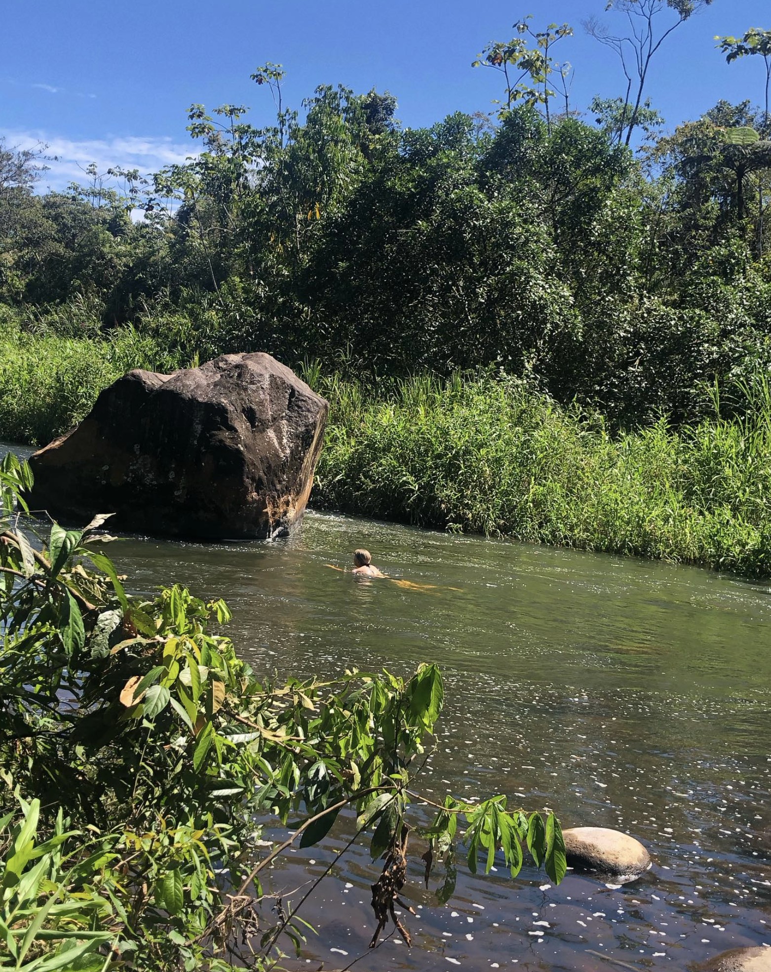 Dat cacao een gewild product is, is natuurlijk helemaal geen verrassing