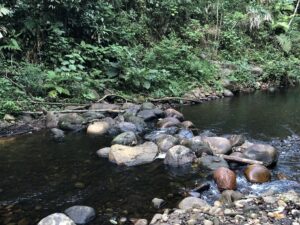 Natuurbelevingsdag met thema ‘Weerstand’