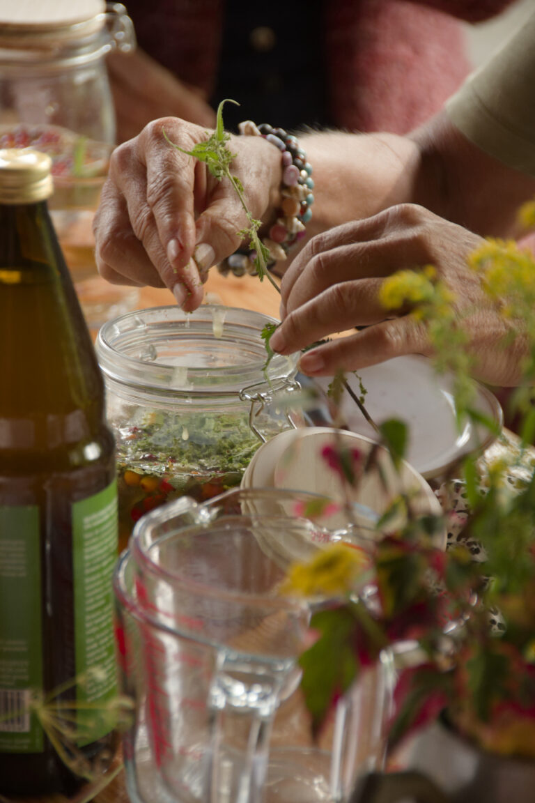 Natuurbelevingsdag met thema ‘Groei en bloei’