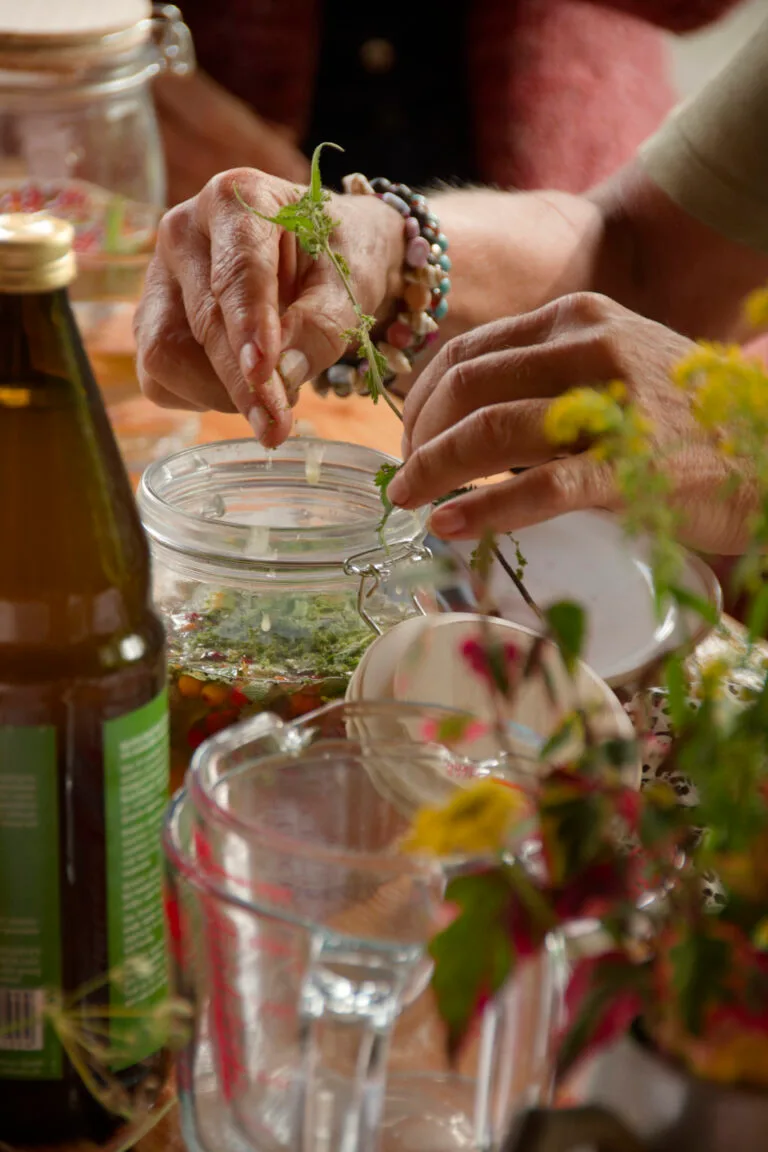 Natuurbelevingsdag met thema ‘Groei en bloei’