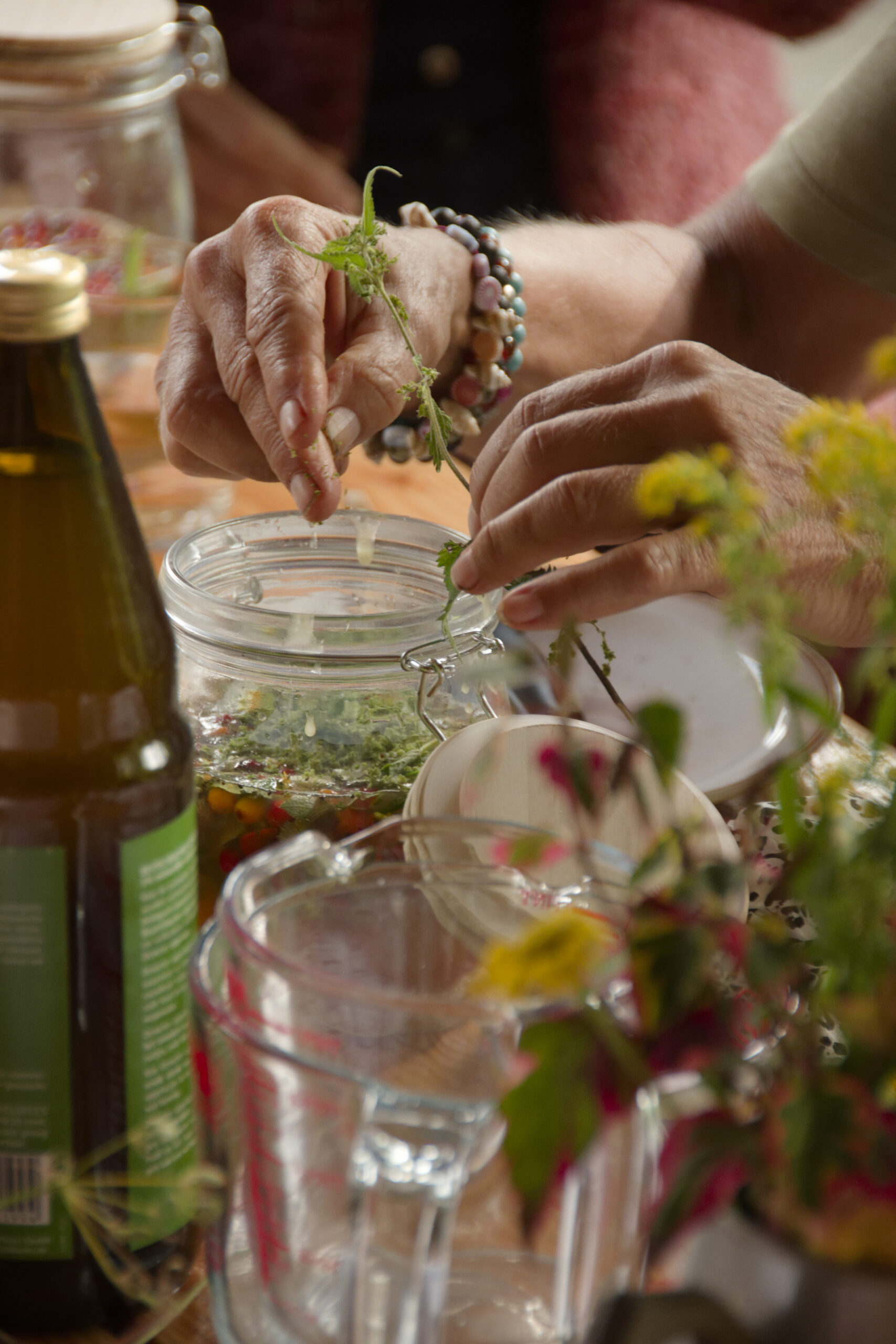 Natuurbelevingsdag met thema ‘Groei en bloei’