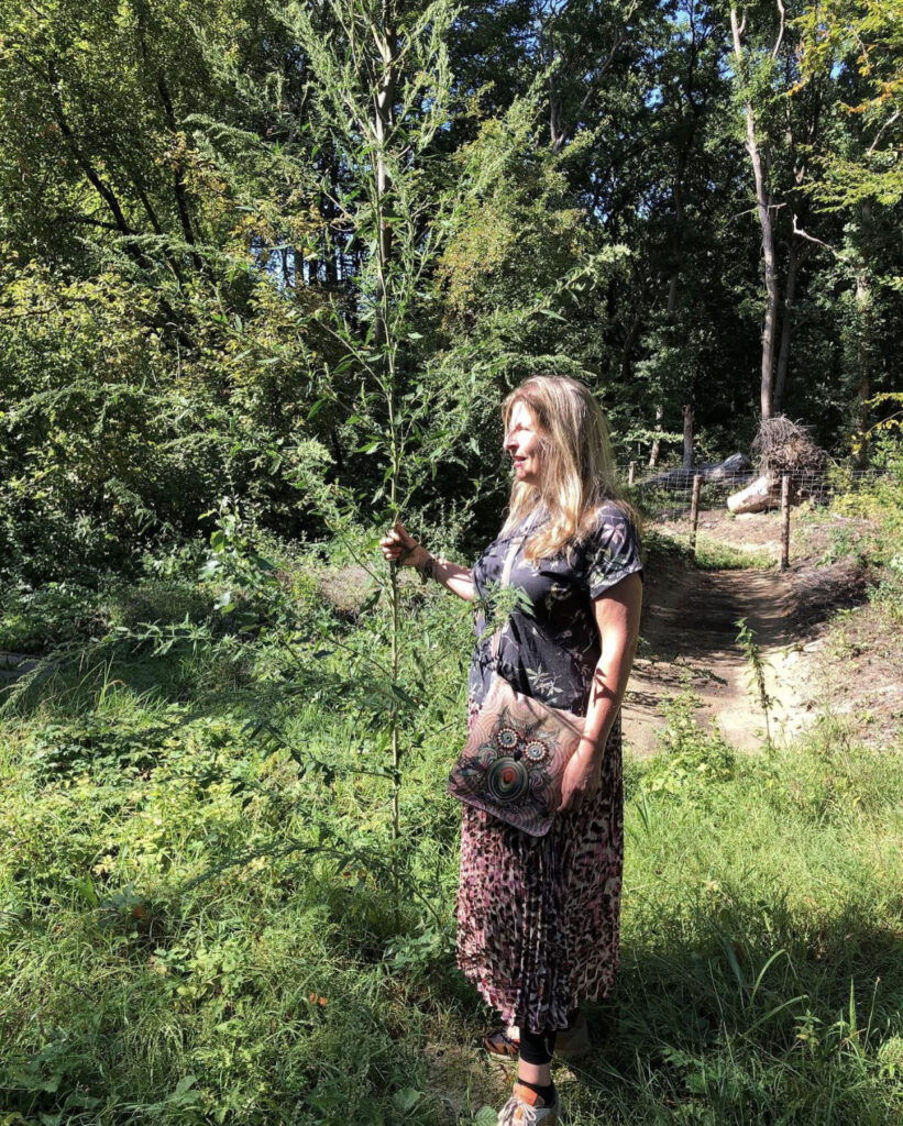 Jaarprogramma Natuurlijk Ondernemen