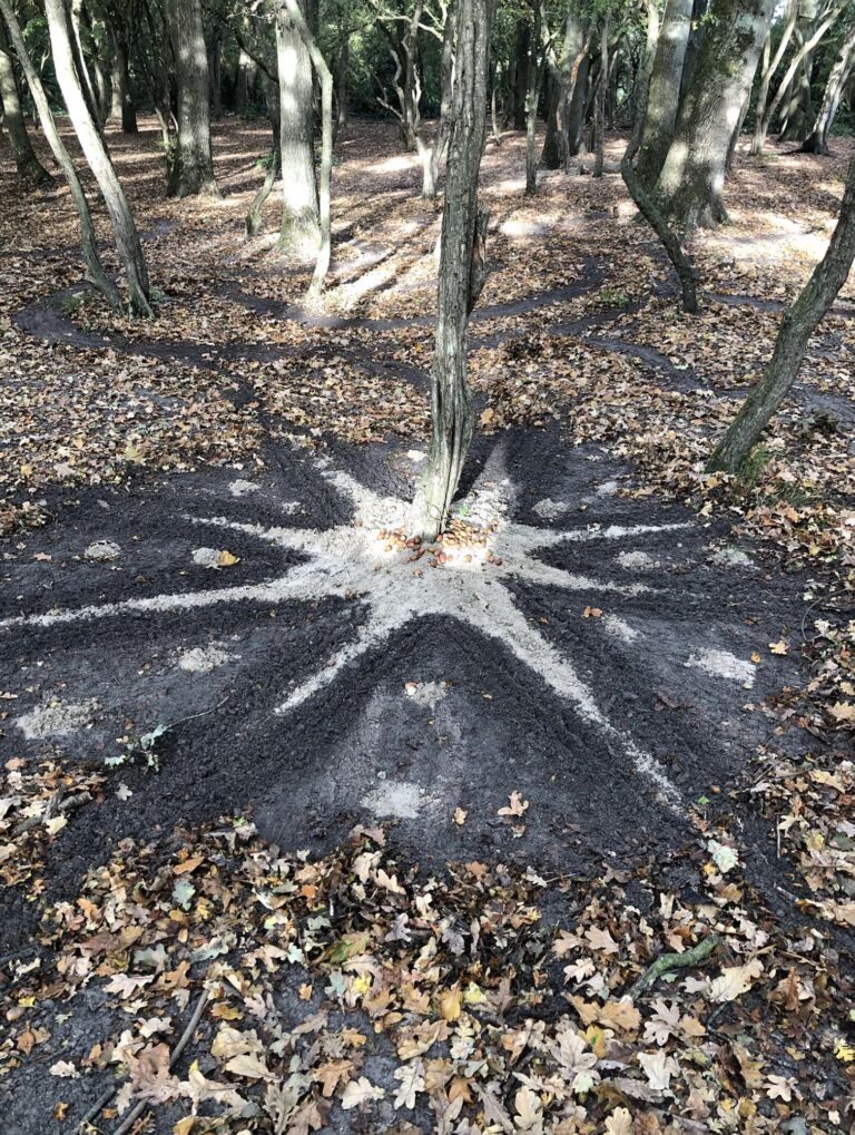 Ik heb niet zoveel van me laten horen afgelopen weken.