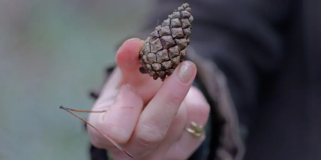 Natuurbelevingdag van Nature Works