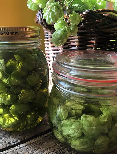 Natuurbelevingdag van Nature Works