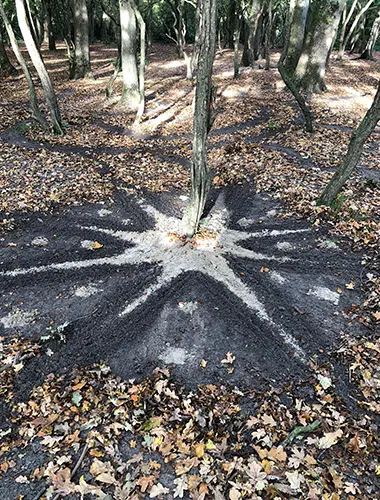 Natuurbelevingdag van Nature Works