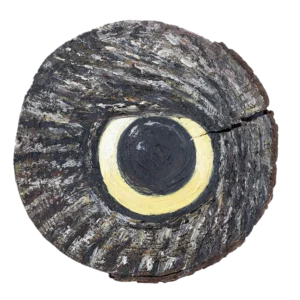 Nature Works Castricum