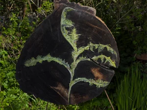 'Melkdistel' is een uniek kunstwerk van Mireille Schermer