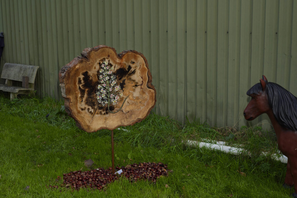 Nature Works voor lichaam, hoofd, hart en ziel Mireille bij de Kunst10daagse Bergen | Nature Works